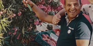 GONZALES – SAUVAGE (officiel video)
