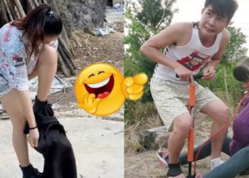 funny videos ? comedy video/ prank video /funny videos 2021/ Chinese comedians P 8